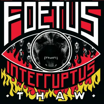 Thaw by Foetus Interruptus