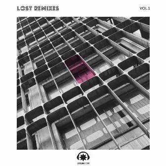 Lost Remixes, Vol.1 by Lifelong Corporation