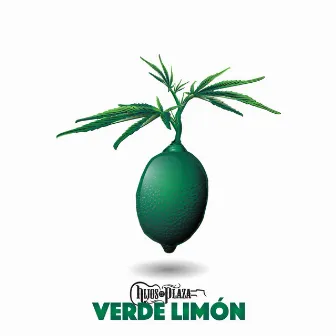 Verde Limón by Hijos De La Plaza