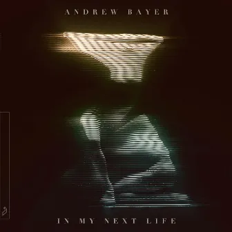 In My Next Life by Andrew Bayer