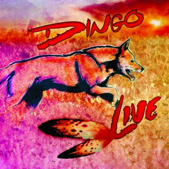 Live by Dingo