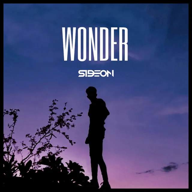 Wonder