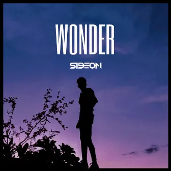 Wonder by Sideon