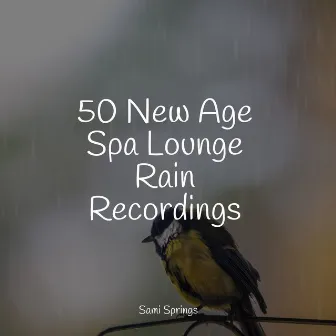 50 New Age Spa Lounge Rain Recordings by Sound of Rain