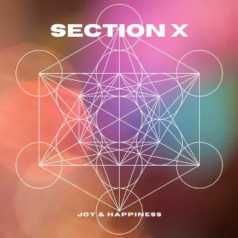 Joy & Happiness by Section X