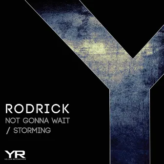 Not Gonna Wait / Storming by Rodrick