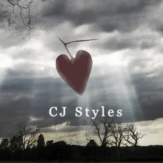 Lost Love by CJ Styles