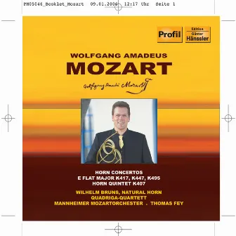 Mozart: Horn Concertos Nos. 2, 3, 4 / Horn Quintet, K. 407 by Wilhelm Bruns