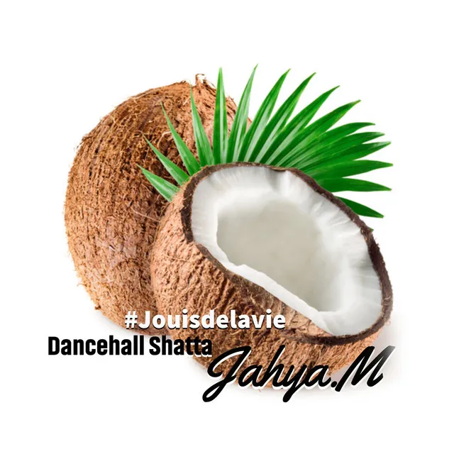 #Jouisdelavie Dancehall Shatta