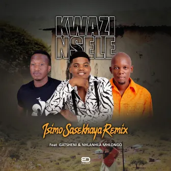 Isimo Sasekhaya (Remix) by Kwazi Nsele