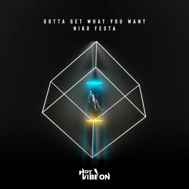 Gotta Get What You Want - Radio Edit