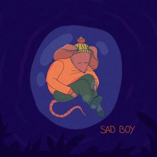 Sad Boy