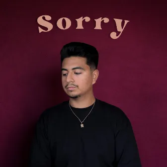 Sorry by Mountos