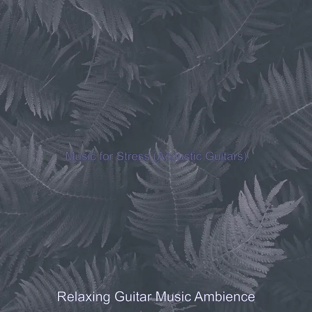 Relaxing Guitar Music Ambience