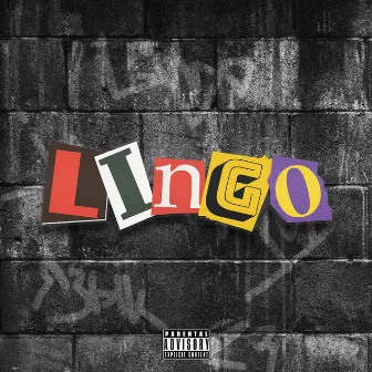 LINGO by SUPREMUS