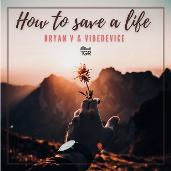 How to Save a Life by Bryan V