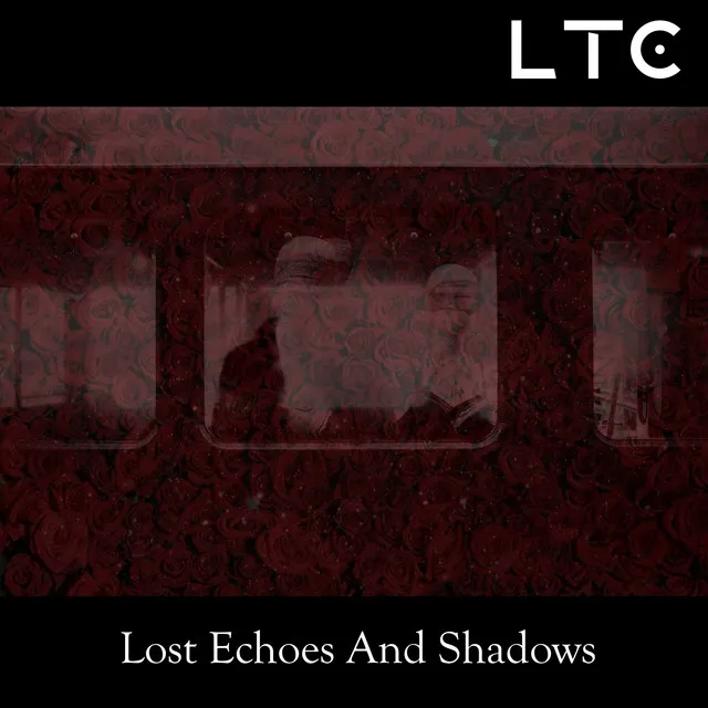 Lost Echoes and Shadows