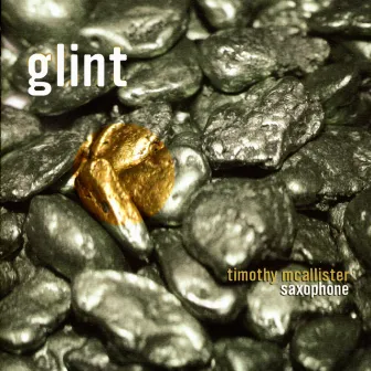 Glint by Timothy McAllister