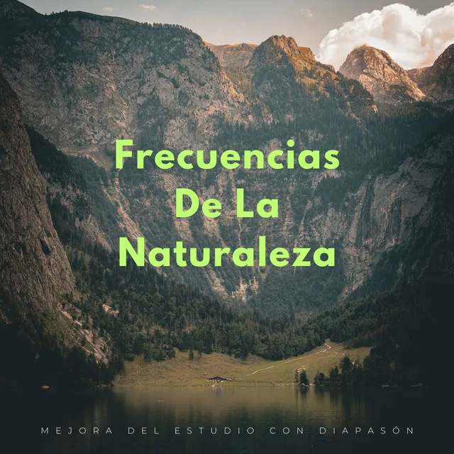 Las Melodías De La Naturaleza Inspiran Pensamientos Enfocados