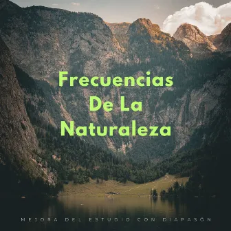 Frecuencias De La Naturaleza: Mejora Del Estudio Con Diapasón by Efectos de sonido de la madre naturaleza