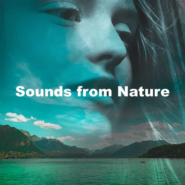 Sounds from Nature