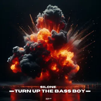 Turn Up The Bass Boy by Silone