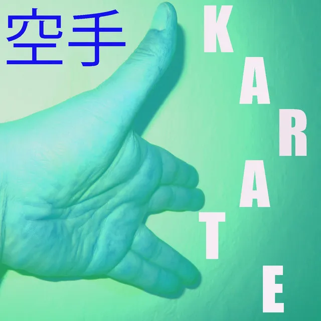 Karate Music Vol. 8