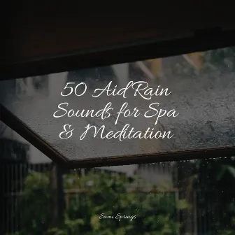 50 Aid Rain Sounds for Spa & Meditation by Forest Soundscapes