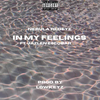 In My Feelings by Nebula Redeye