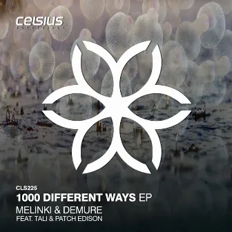 1000 Different Ways EP by Demure