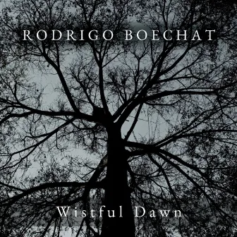 Wistful Dawn by Rodrigo Boechat