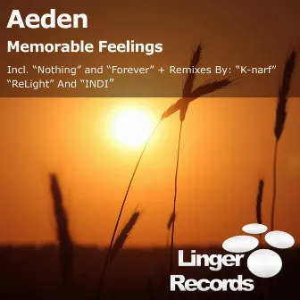 Memorable Feelings by Aeden