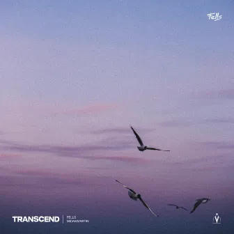 Transcend by Fells