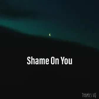 Shame On You by LaVigo