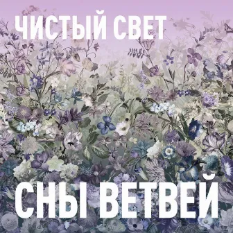 Чистый свет by Сны Ветвей