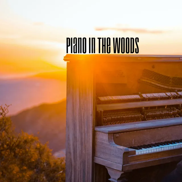 Piano in the Woods