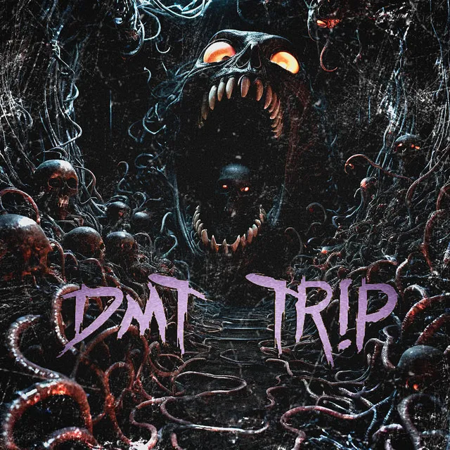 DMT TR!P