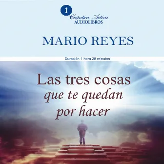 Las tres cosas que te quedan por hacer by Mario Reyes