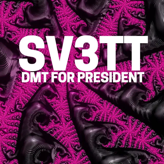 Dmt for President