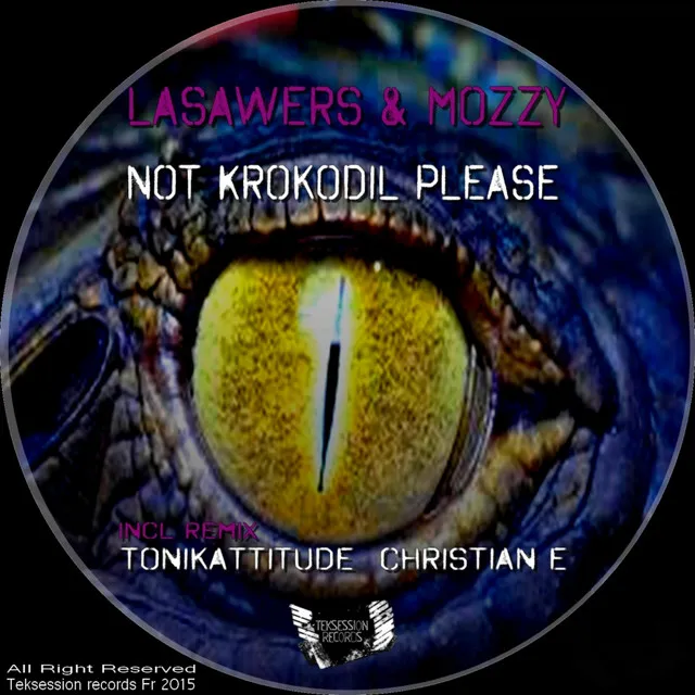 Not Krokodil Please - Christian E Remix