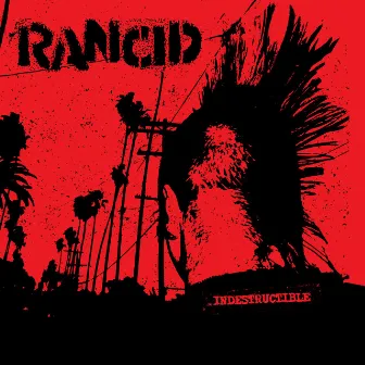 Indestructible by Rancid