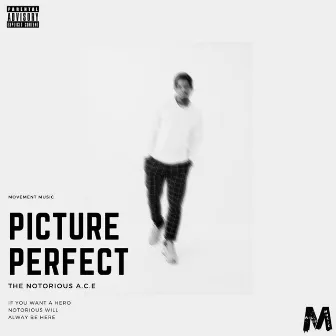 Picture Perfect by Ace