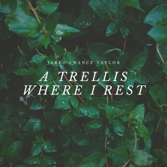 A Trellis Where I Rest by Jared Chance Taylor