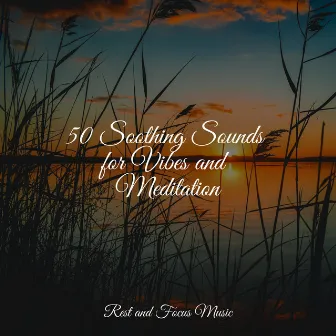 50 Soothing Sounds for Vibes and Meditation by The Relaxation Principle