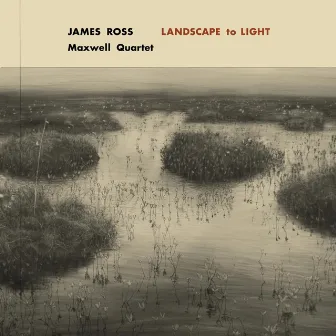 Landscape to Light by James Ross