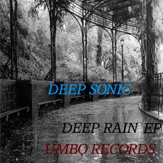 Deep Rain by Deep Sonic