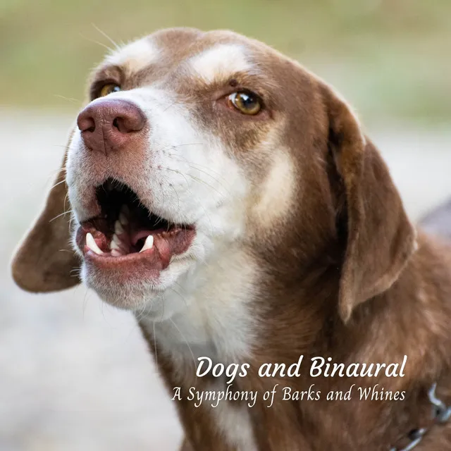 Dogs and Binaural: A Symphony of Barks and Whines