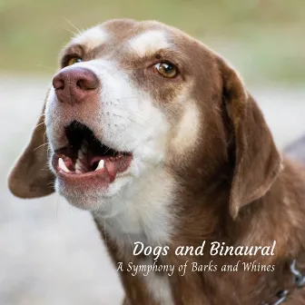 Dogs and Binaural: A Symphony of Barks and Whines by Fashionable Doggy Music