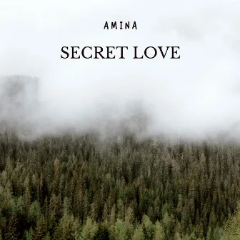 Secret Love by Amina