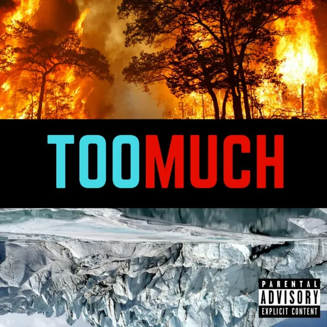 Too Much